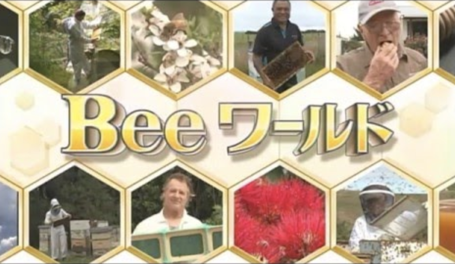 Beeワールド（テレビ東京）4月23日から6月4日まで7週連続で放送予定